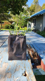Load image into Gallery viewer, Object #18 - Paperbag Vase
